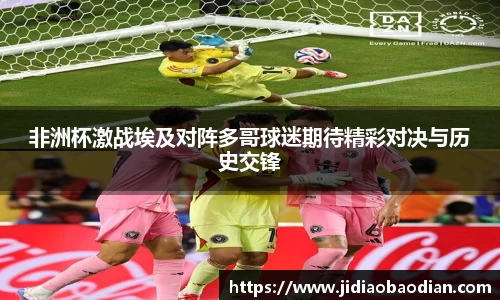 非洲杯激战埃及对阵多哥球迷期待精彩对决与历史交锋